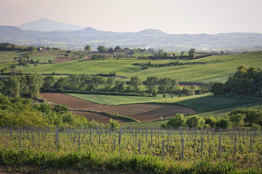 Villa Loggio Winery And Boutique Hotel Cortona Exterior foto