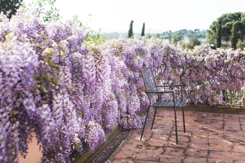 Villa Loggio Winery And Boutique Hotel Cortona Exterior foto