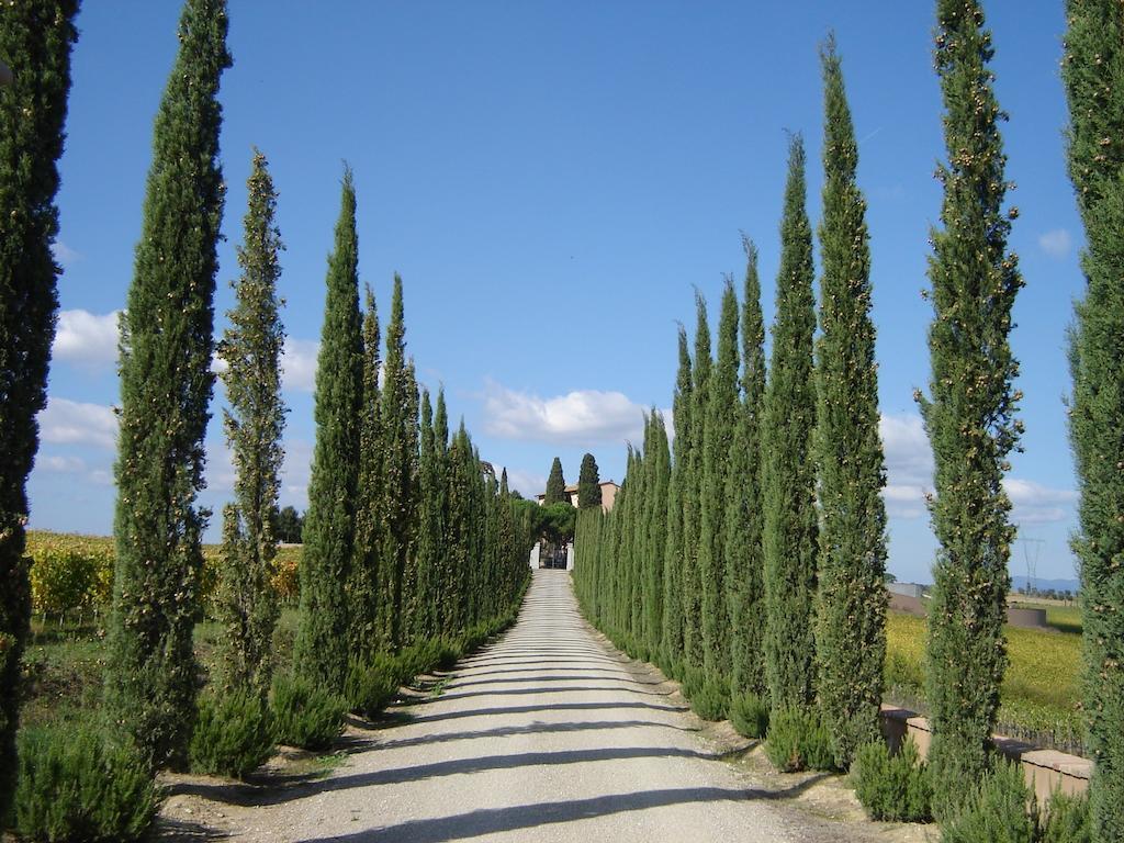 Villa Loggio Winery And Boutique Hotel Cortona Exterior foto